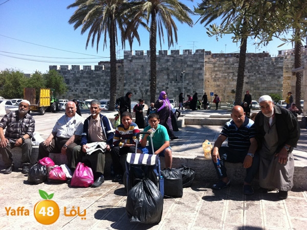 yaffa aqsa 0414 (45).JPG